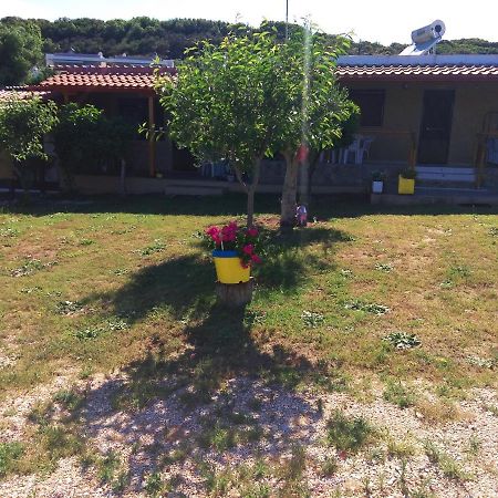 Farma Giannis Apartment Sarti Exterior photo